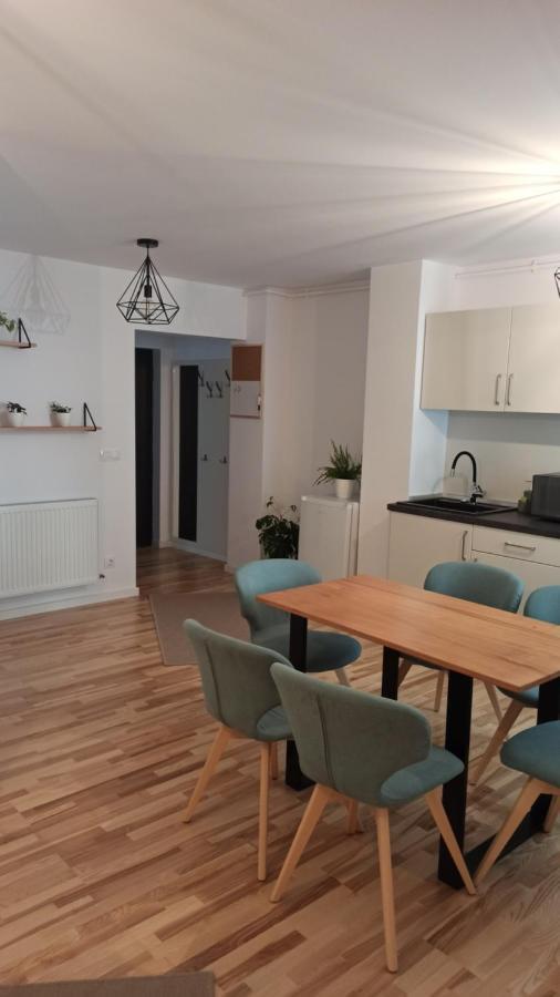 Chrysanthemum Apartment Sighisoara Ngoại thất bức ảnh