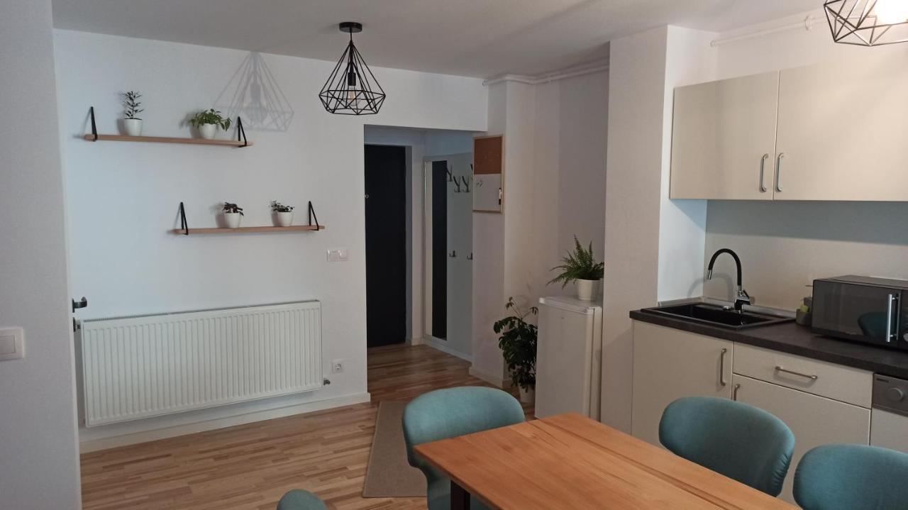 Chrysanthemum Apartment Sighisoara Ngoại thất bức ảnh