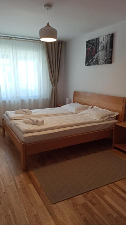 Chrysanthemum Apartment Sighisoara Ngoại thất bức ảnh
